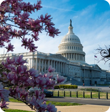 AI Agency & Technology HTML Template